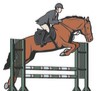 Horse jumping fence.