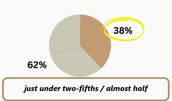 A pie chart showing fractions and percentages.