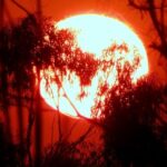 Very hot sunshine