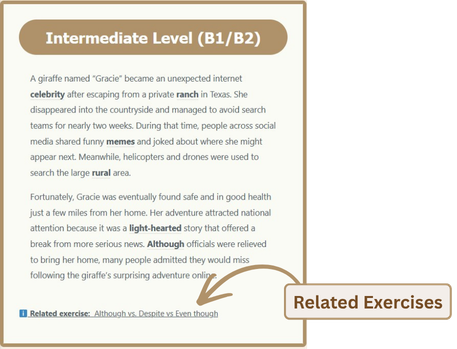 Intermediate level with exercises 2